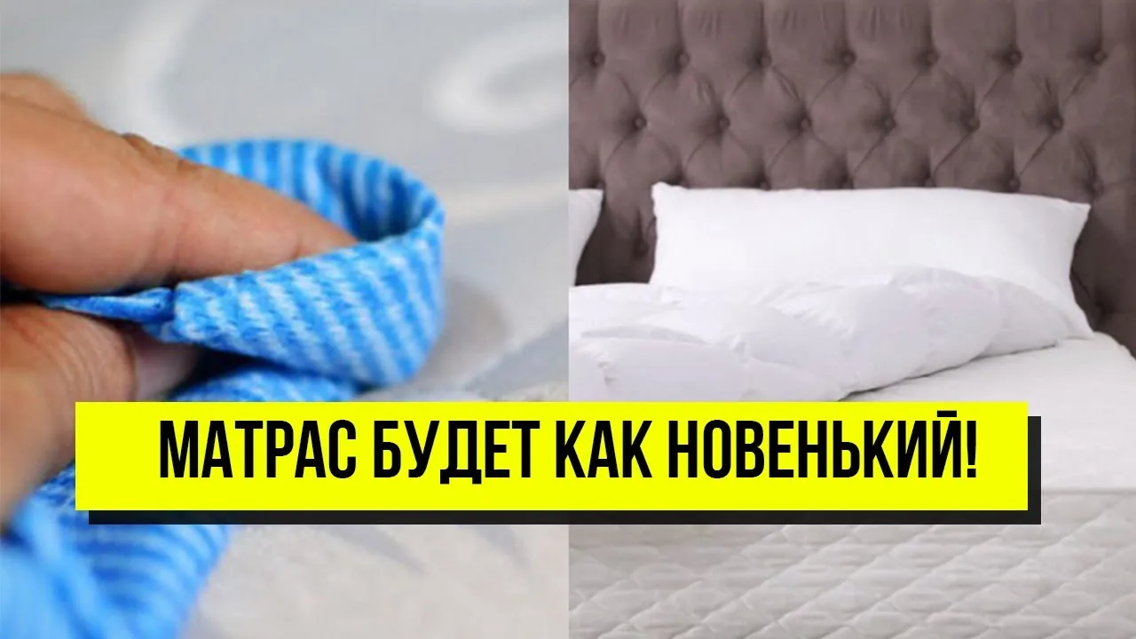 Видео на YouTube