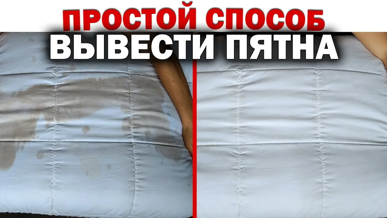 Видео на YouTube