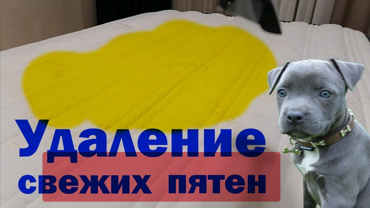 Видео на YouTube