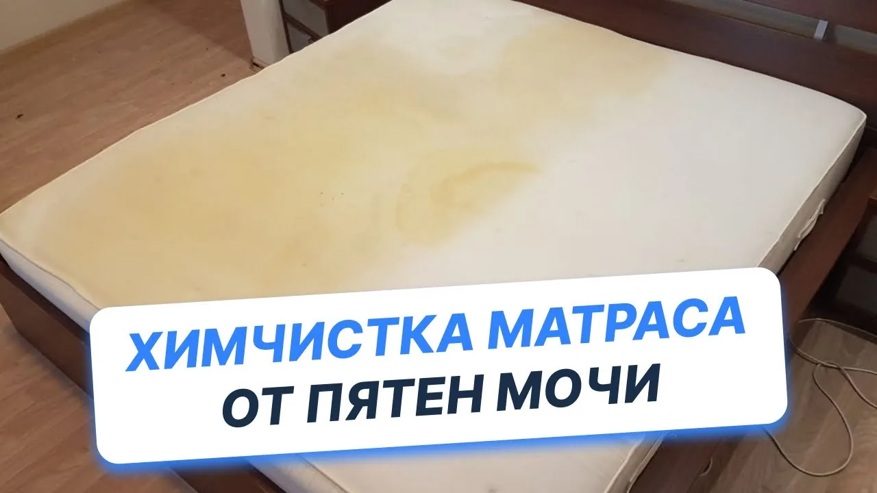 Видео на YouTube