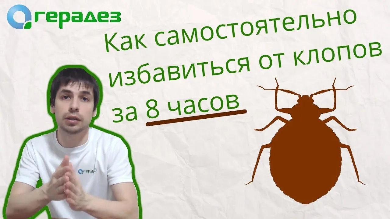 Видео на YouTube