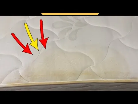 Видео на YouTube