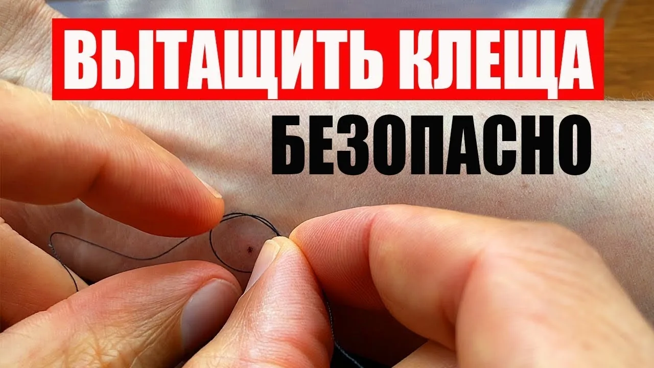 Видео на YouTube